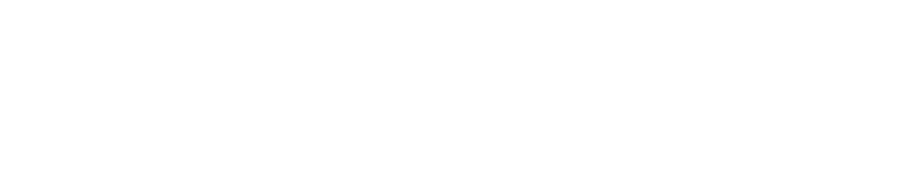 ffl-logo-trans